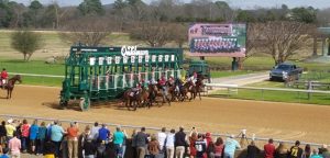 Oaklawn-track