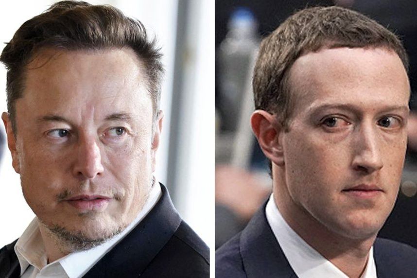 Elon Musk Mark Zuckerberg odds fight UFC