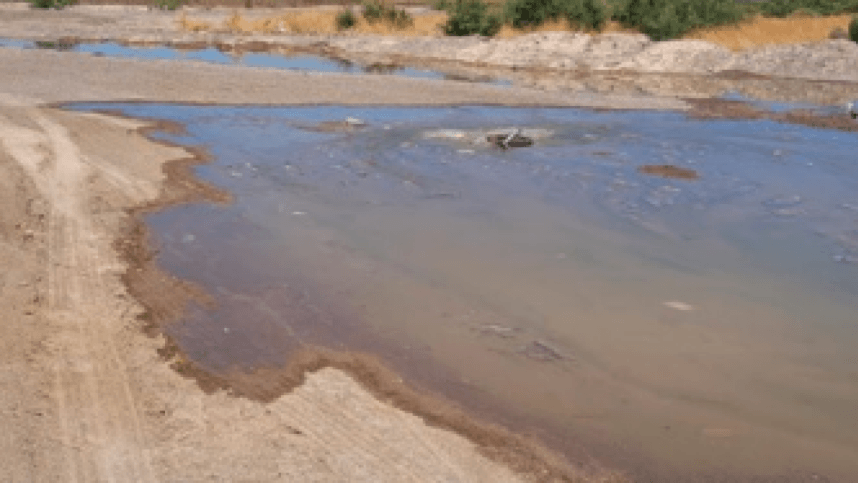 Water in a creek that flows into Nevada's Lake Mead